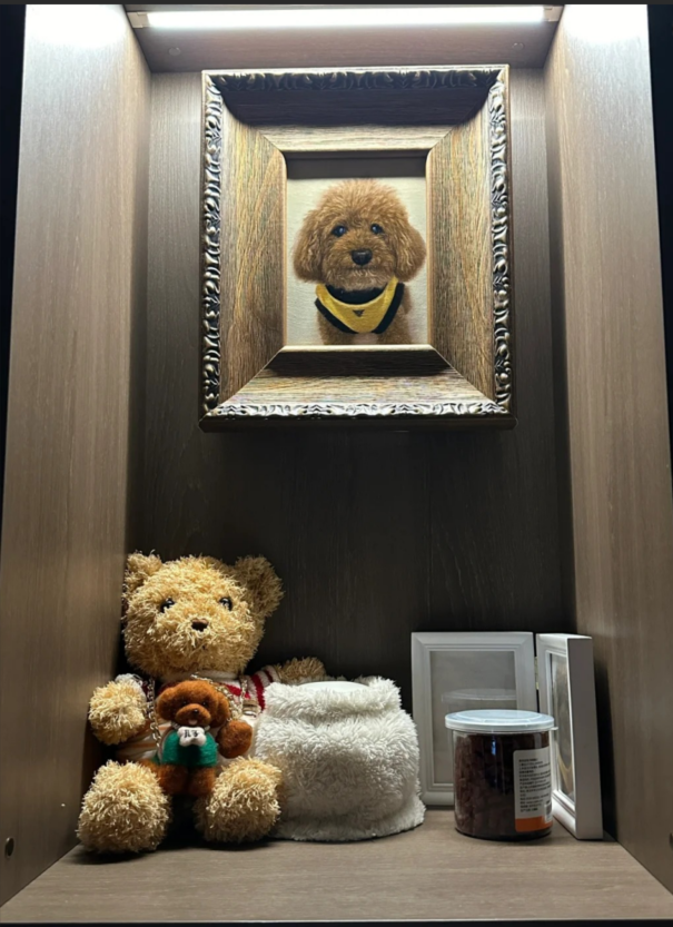 10 Personalized Pet Gift Ideas for Dog and Cat Lovers
